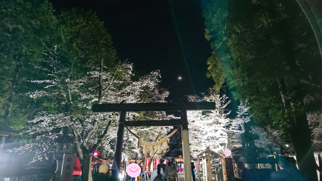 夜桜と真田神社の鳥居