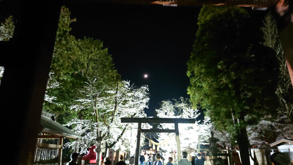 夜の真田神社の鳥居