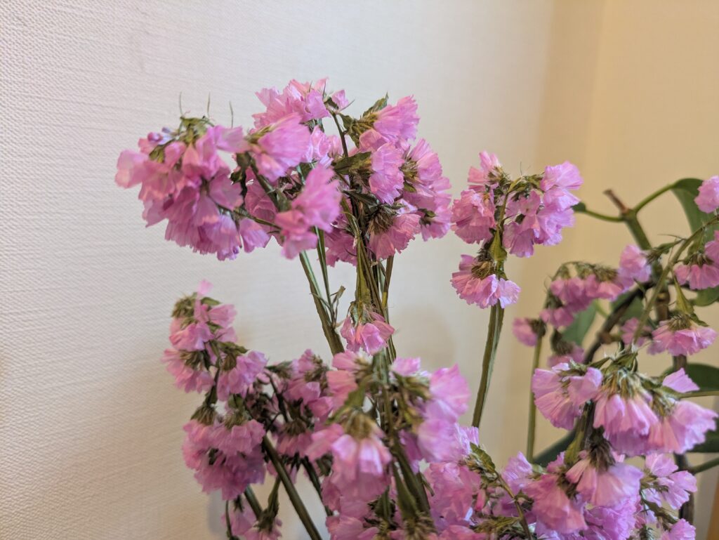 「逆さ吊り」にして乾燥せずに、花首が折れ曲がったスターチス