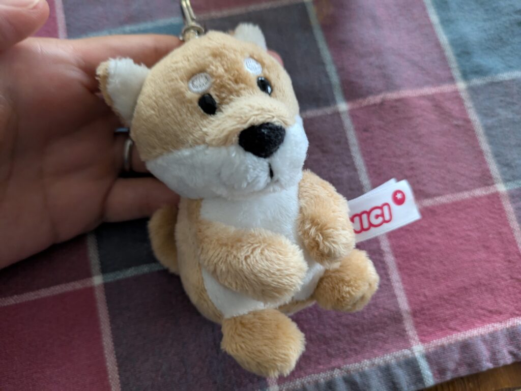 10円キャッチャーでゲットした景品